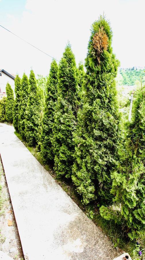 Apartmani In Zlatar Nova Varoš Buitenkant foto