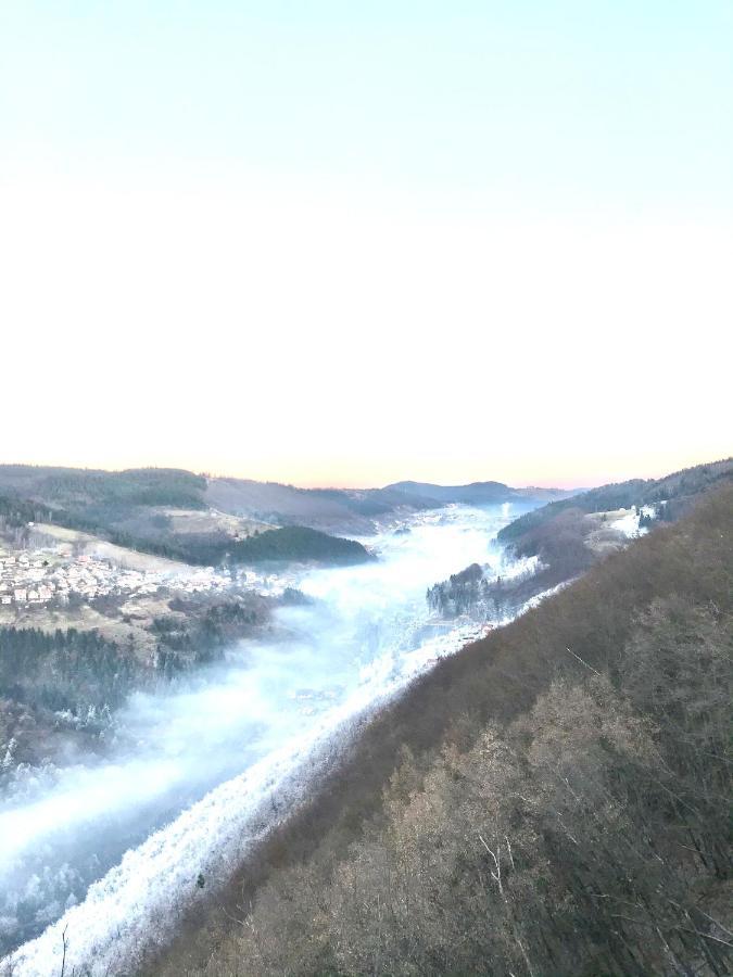 Apartmani In Zlatar Nova Varoš Buitenkant foto