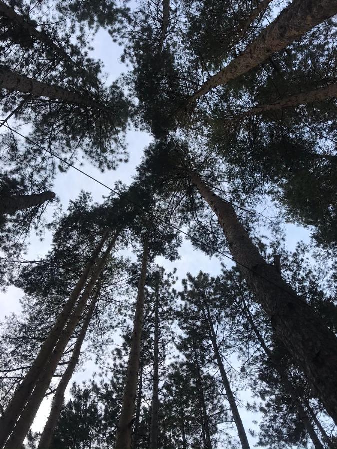 Apartmani In Zlatar Nova Varoš Buitenkant foto